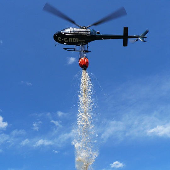 Hélicoptère Astar 350 en train d'éteindre un feu de forêt